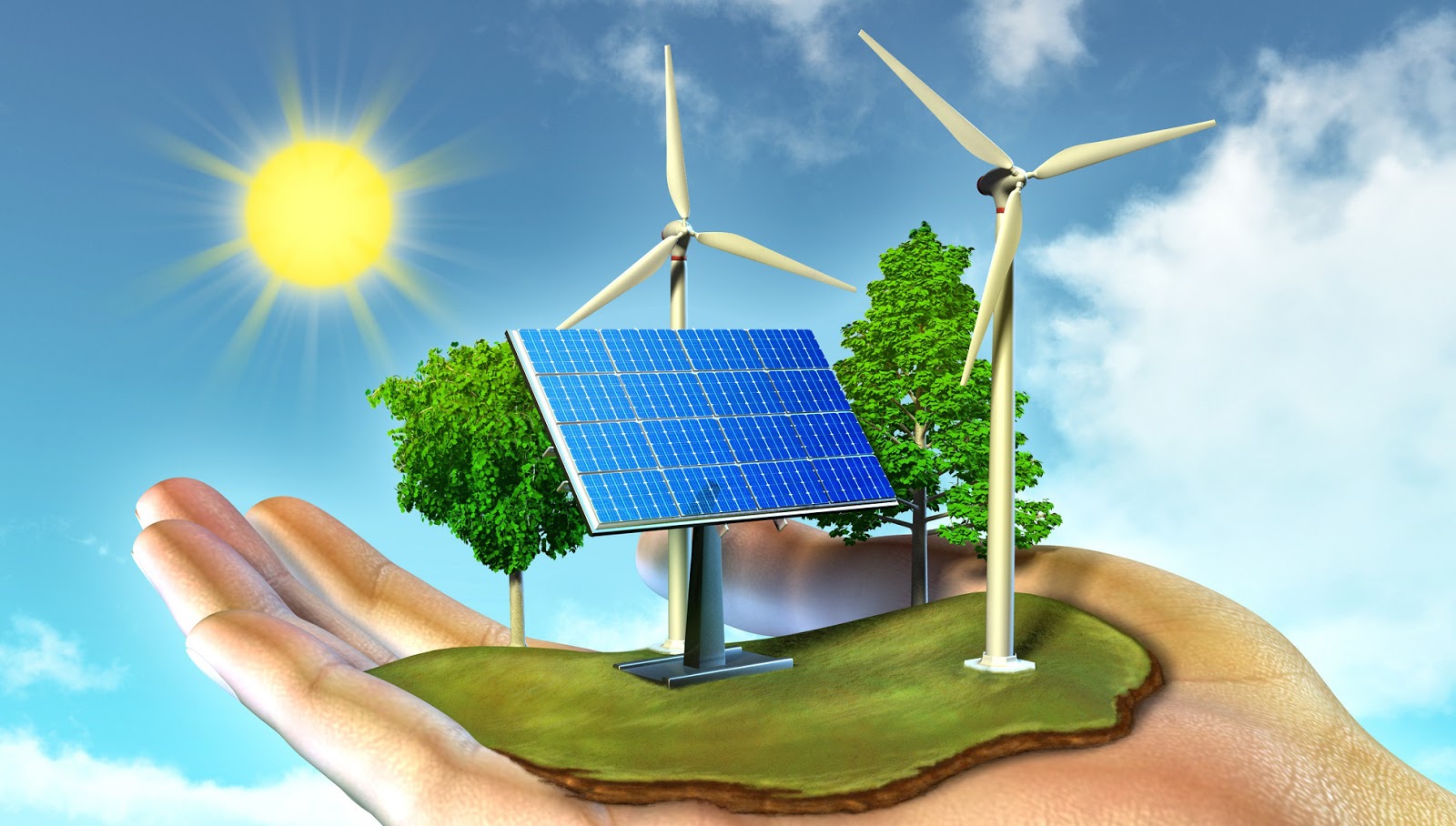 Energías Renovables y Sostenibilidad